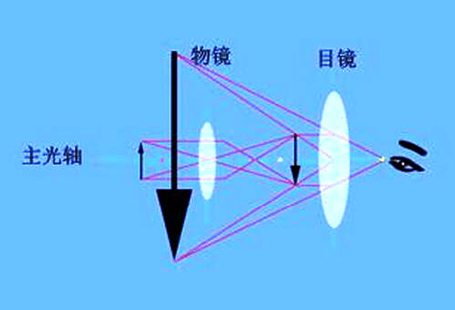 金相显微镜的放大倍数就是如何计算的?(图1)