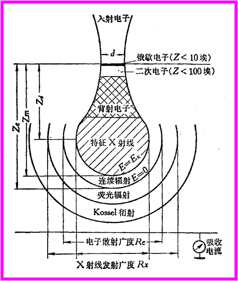 扫描电镜的介绍(图2)