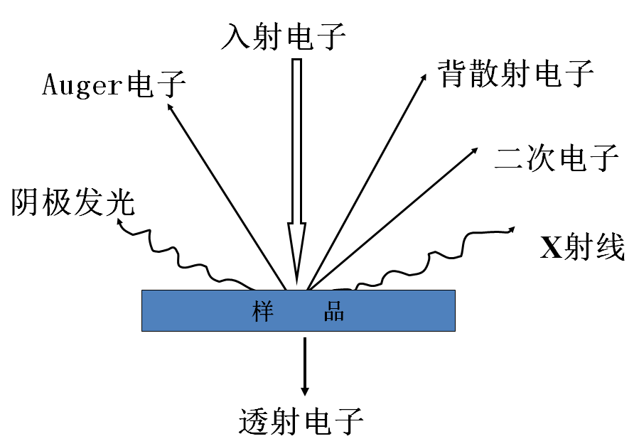 扫描电镜的介绍