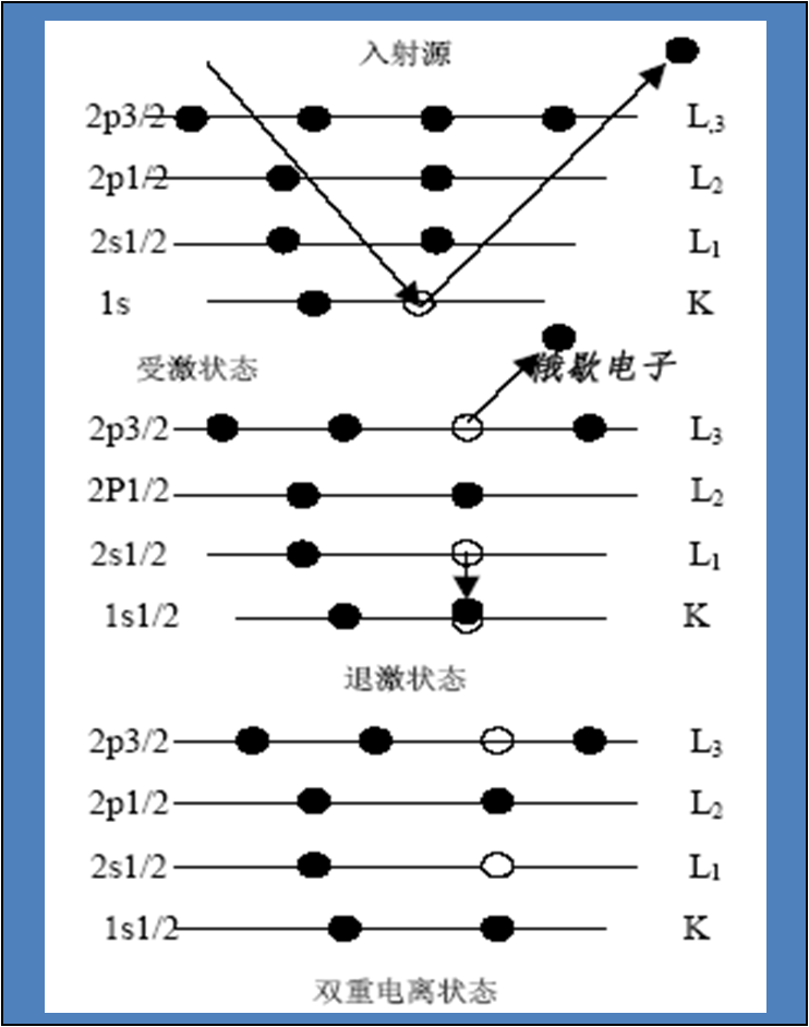 扫描电镜的介绍(图8)